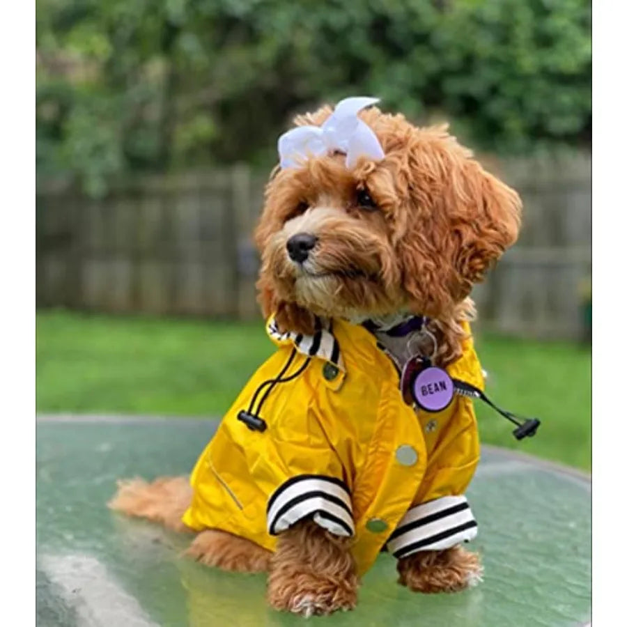 Dog Zip Up Raincoat With Removable Hood And Reflective Buttons