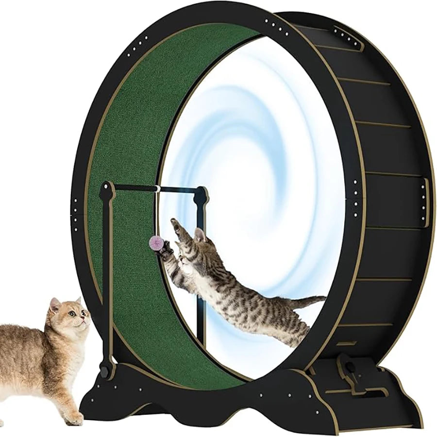 Indoor Wooden Cat Exercise Wheel With Detachable Carpeted Runway