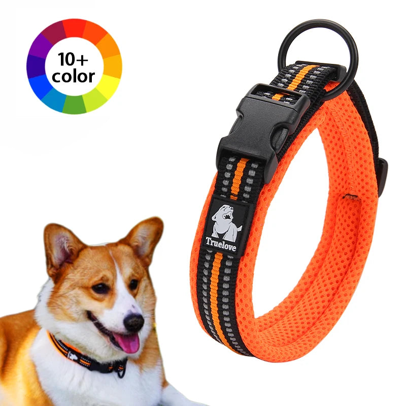 Winhyepet Padded Nylon Dog Collar With Comfortable Reflective Buckle