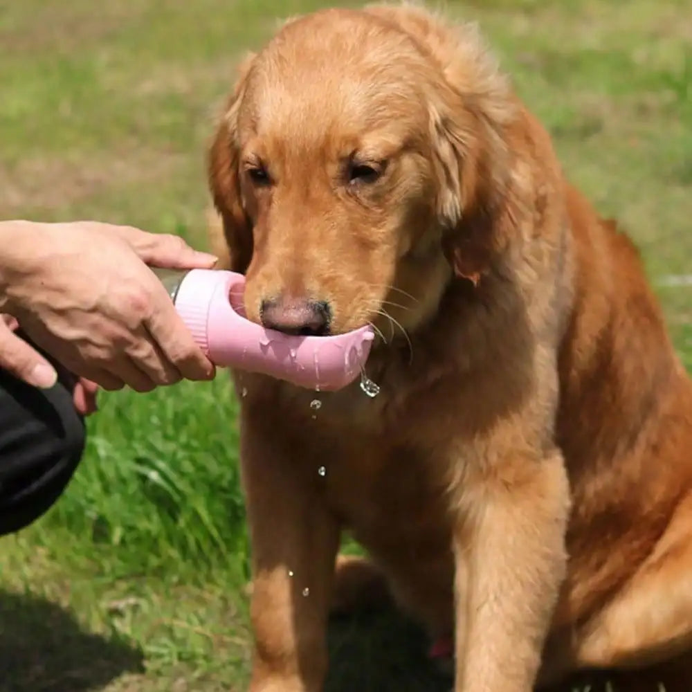 Portable Travel Dog Water Bottle With Food Storage Compartment
