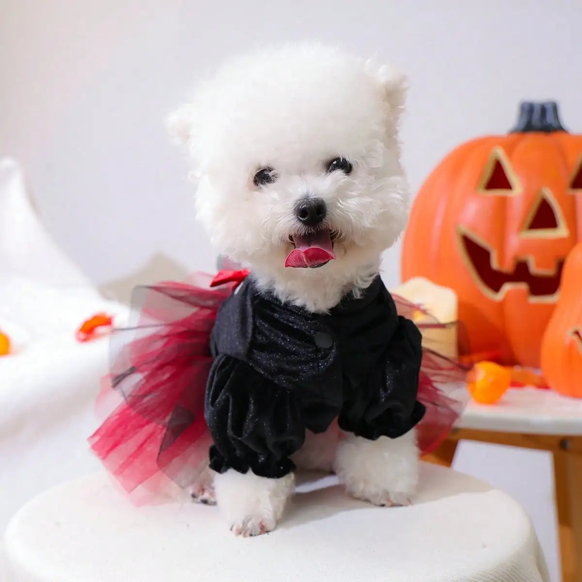 Dog Halloween Tulle Costume Featuring Skull Bow Pattern Design