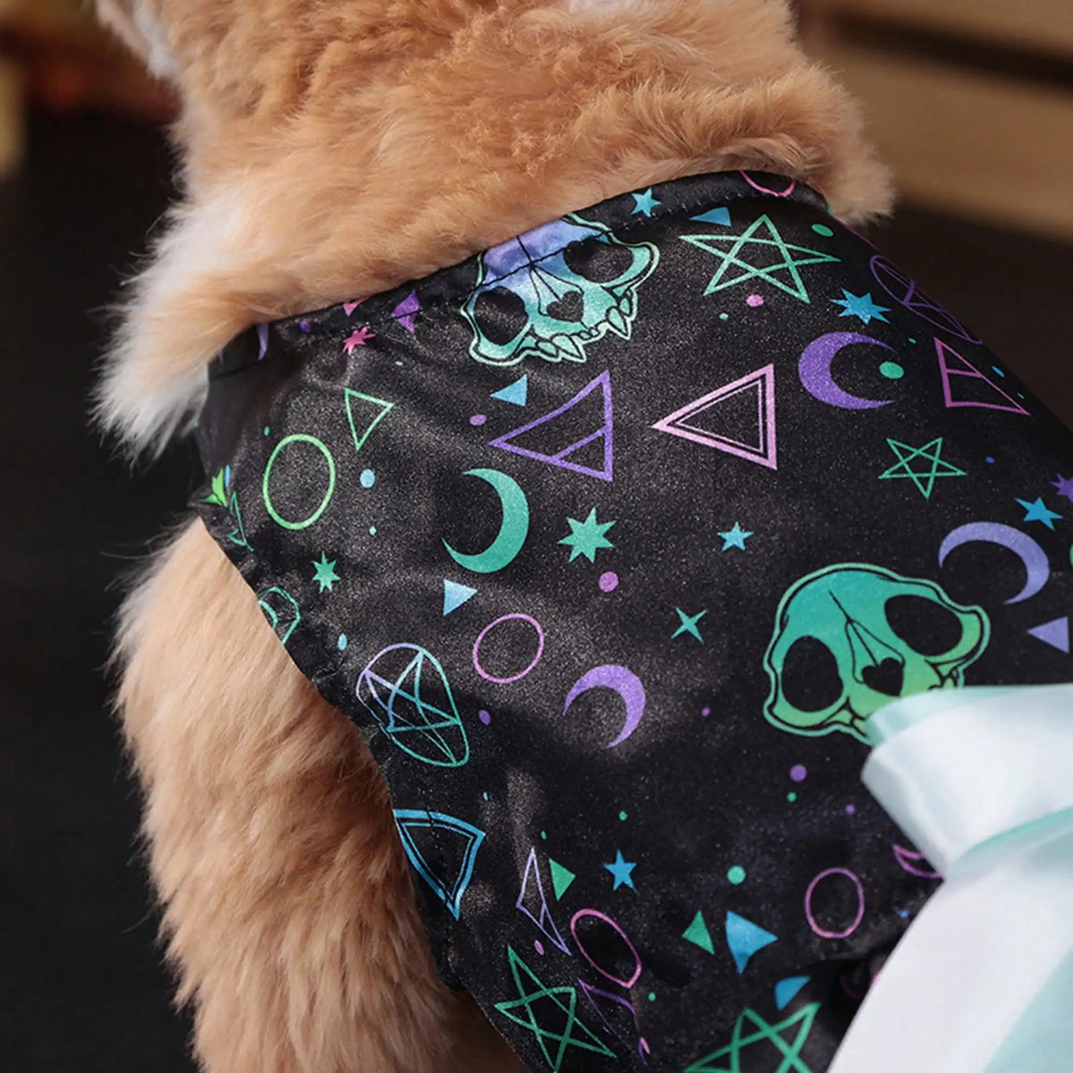Funny Pumpkin And Skull Print Bowknot Dog Halloween Costume