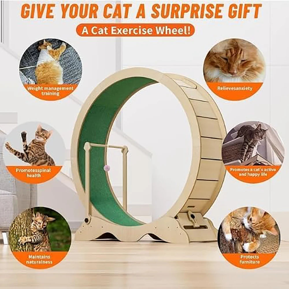 Indoor Wooden Cat Exercise Wheel With Detachable Carpeted Runway