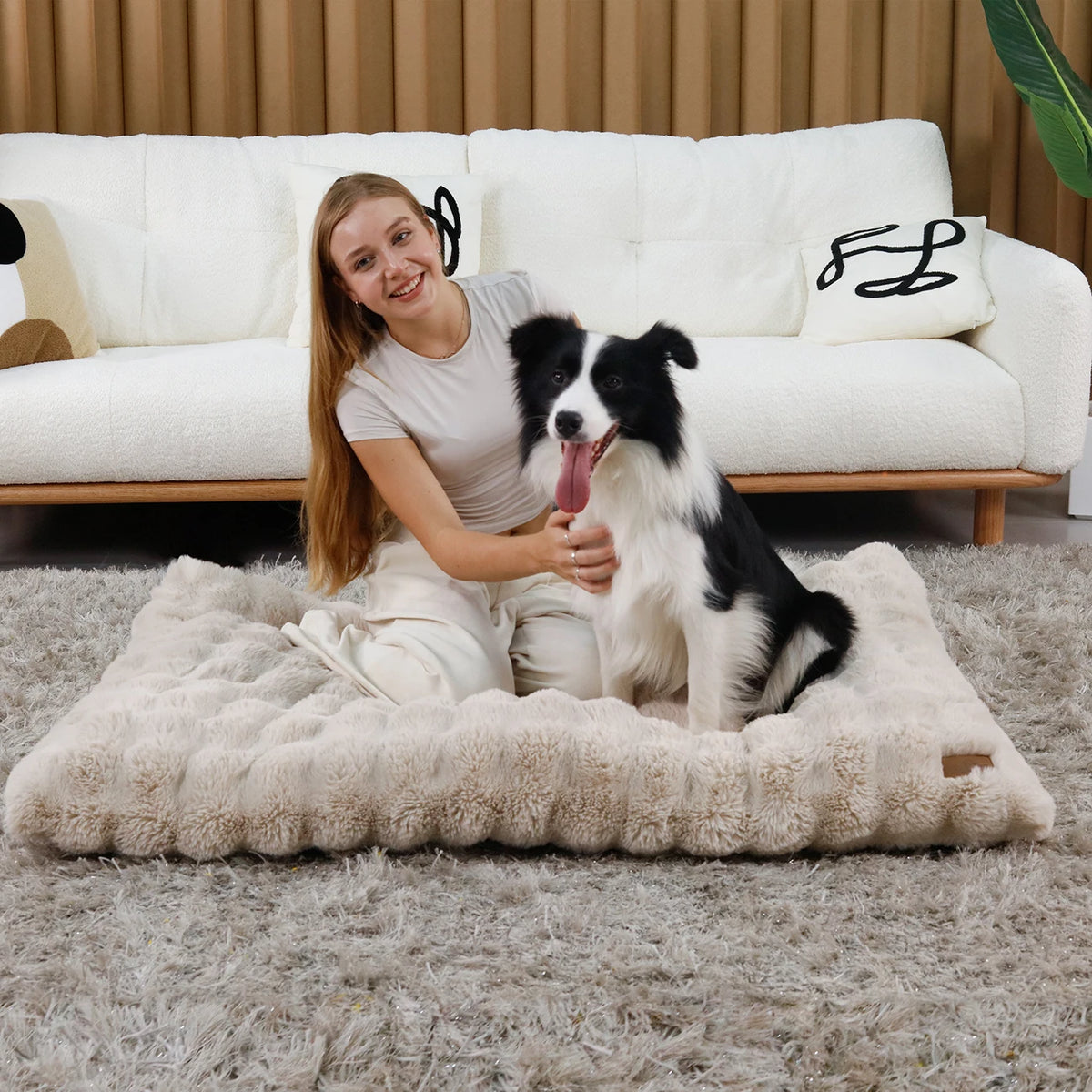 Bingopaw Ultra Soft Plush Dog Bed With Thick Comfort Foam