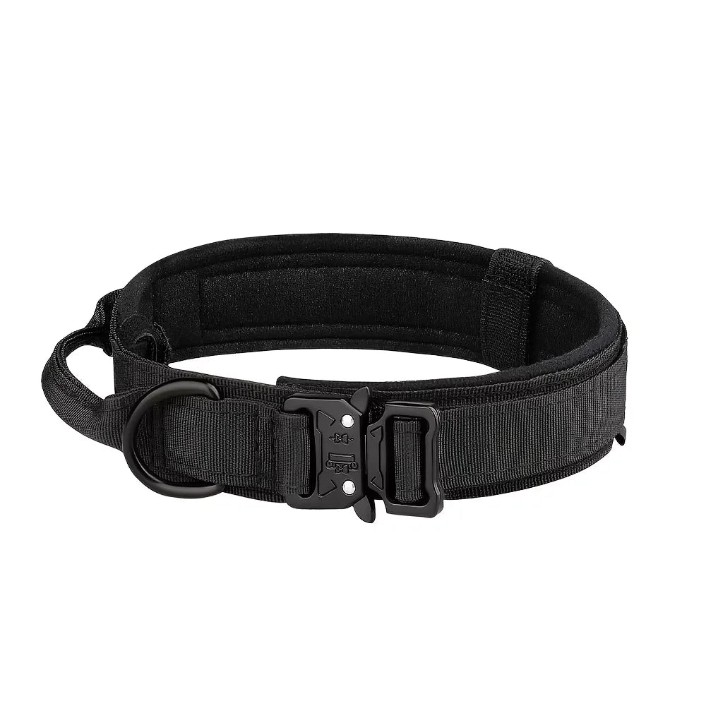 Petraavel Adjustable Nylon Dog Collar And Leash Set Padded Buckle