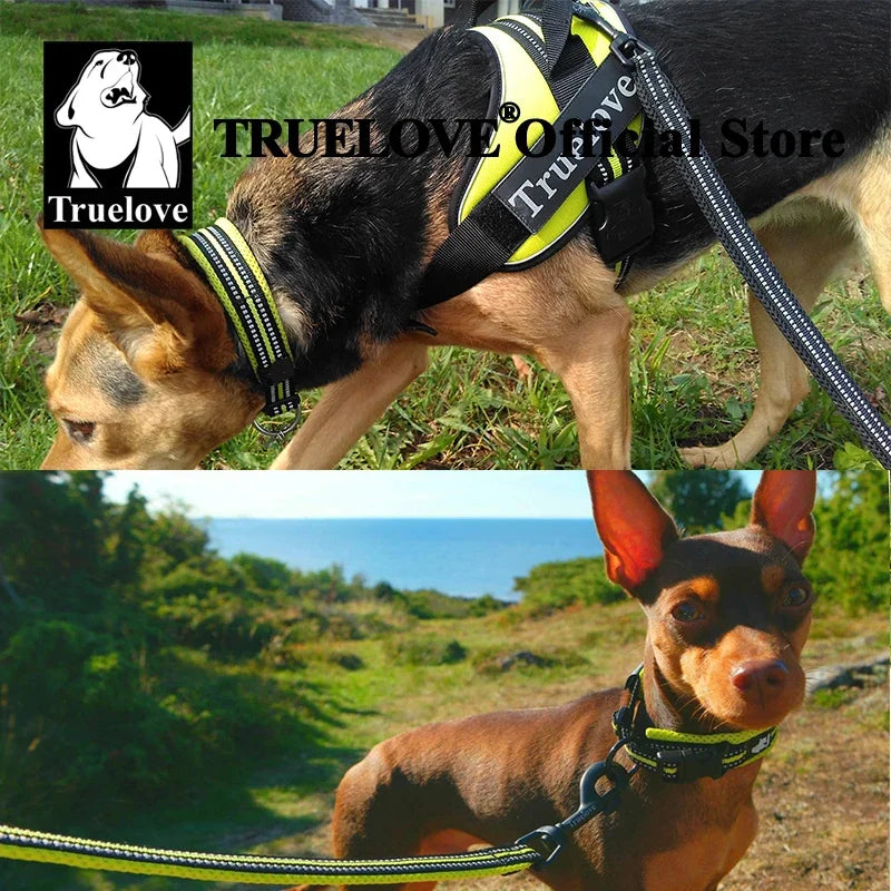 TrueLove Padded Reflective Nylon Adjustable Dog Cat Collar
