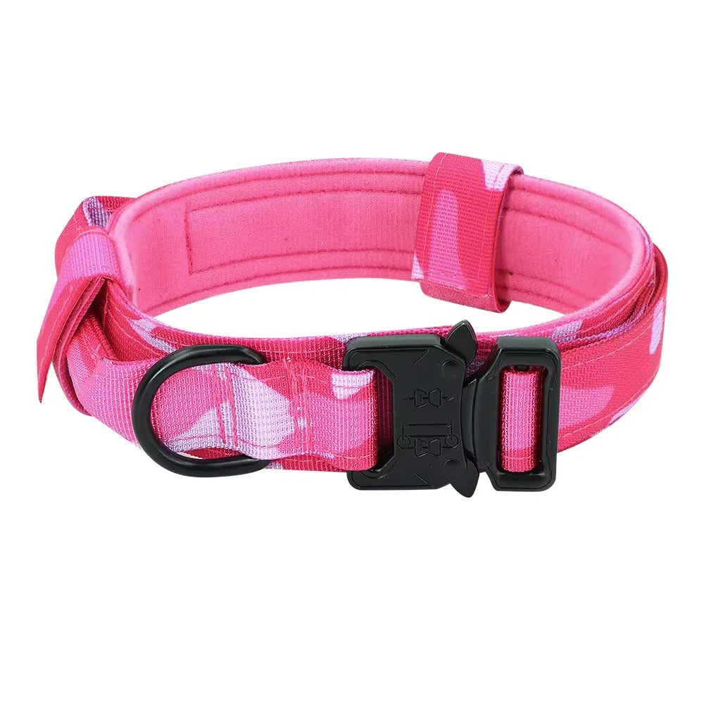 Petraavel Adjustable Nylon Dog Collar And Leash Set Padded Buckle