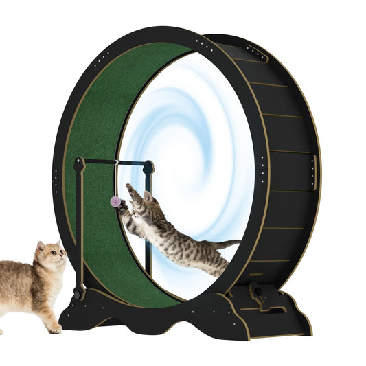 HiMISS Indoor Cat Exercise Wheel With Quiet Wooden Frame