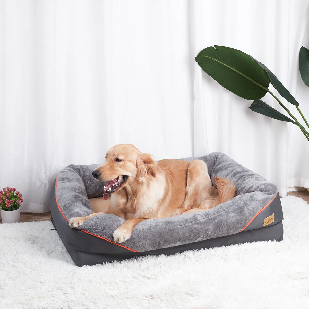 Bingopaw Waterproof Fleece Dog Bed Removable Washable Cover