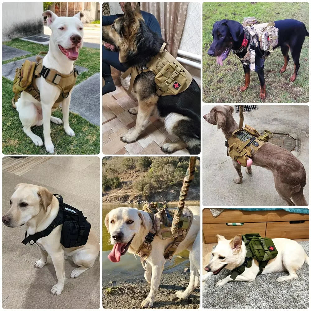 PetraVel Tactical Dog Molle Pouch Belt and Harness Set