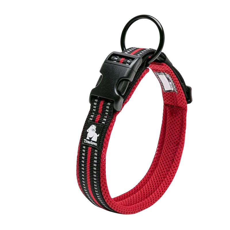 Winhyepet Padded Nylon Dog Collar With Comfortable Reflective Buckle
