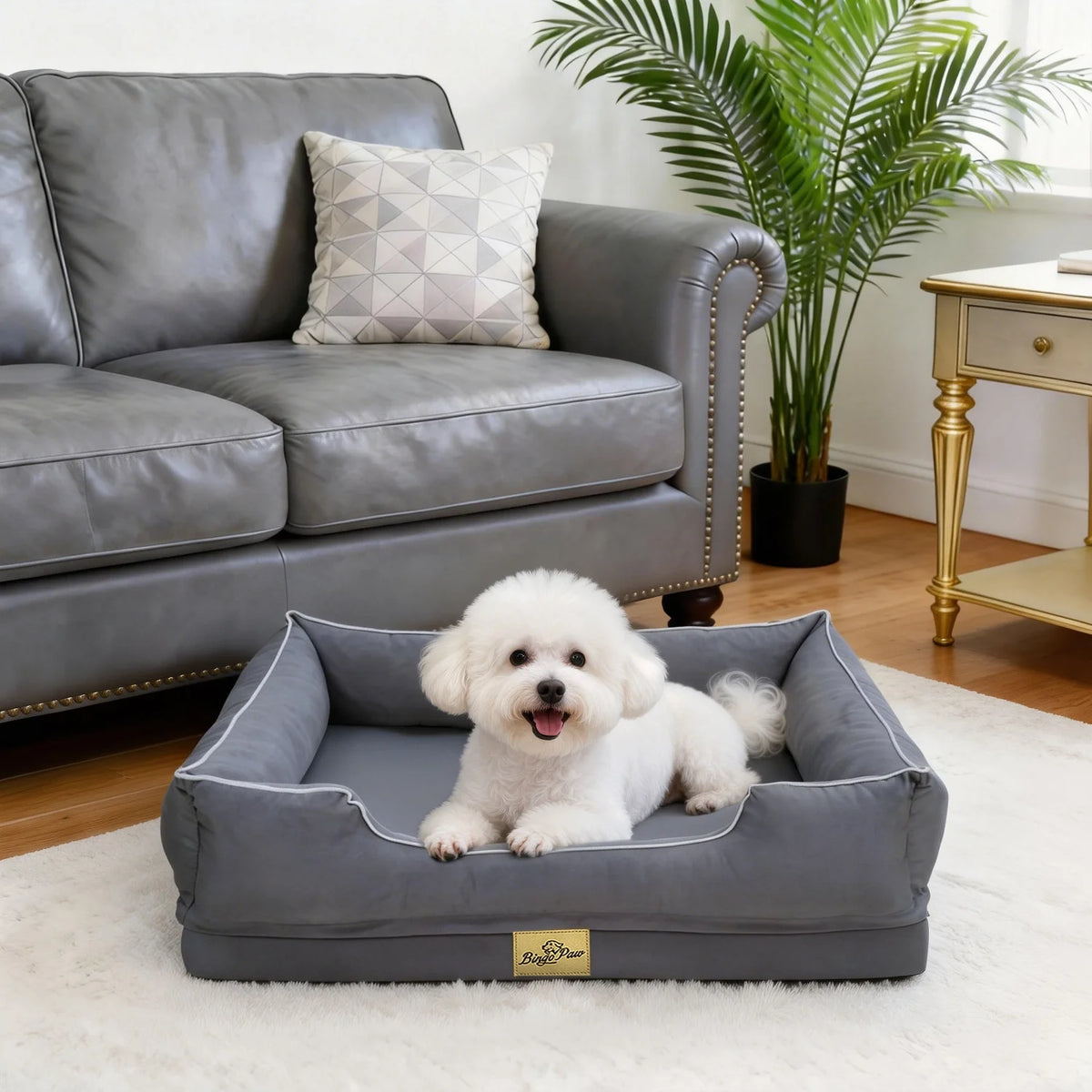 Bingopaw Orthopedic Pet Bed With Removable Washable Cover And Bolsters
