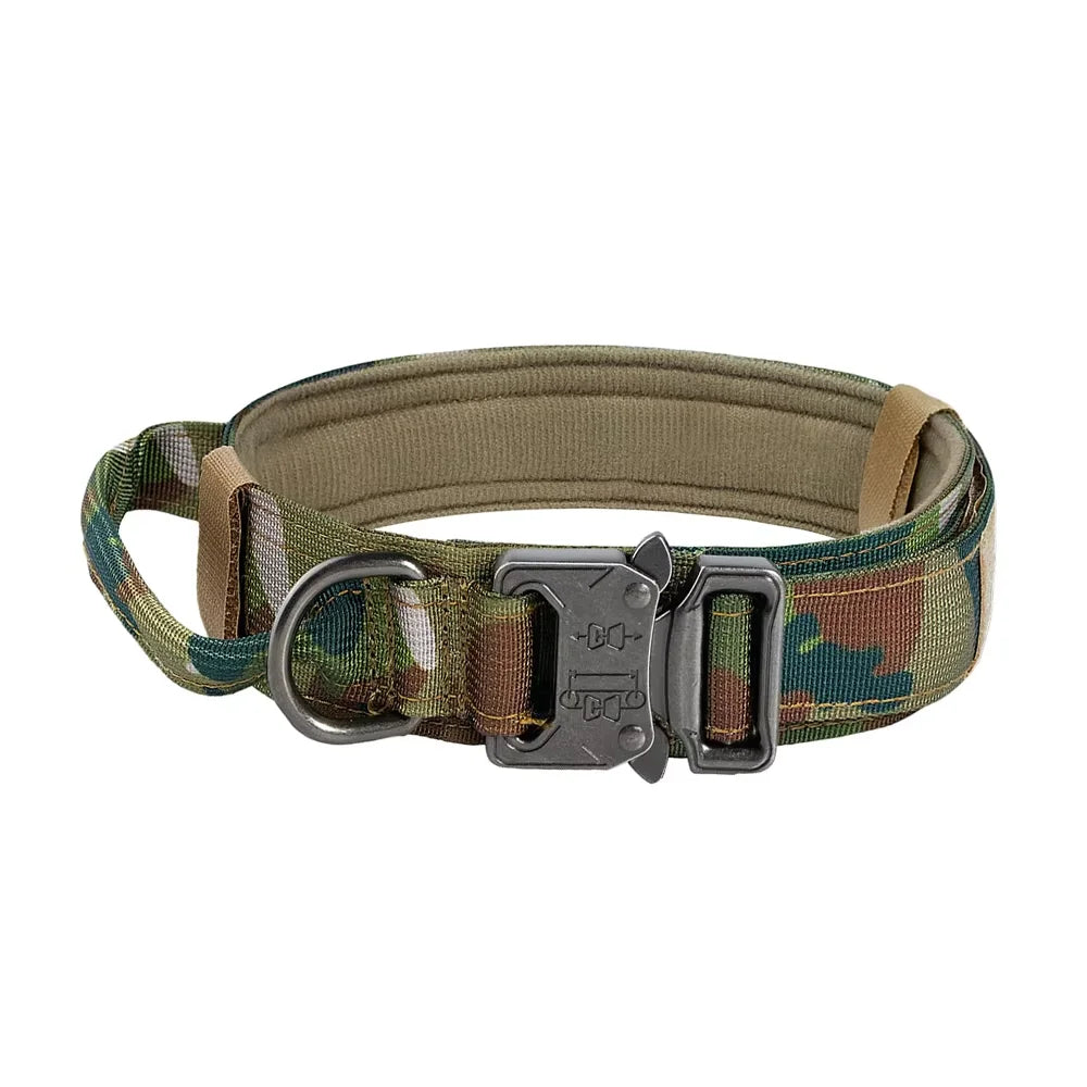 Petraavel Adjustable Nylon Dog Collar And Leash Set Padded Buckle